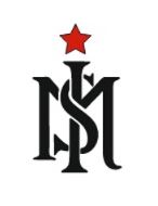 Makeup Studio by Ijaz UK Logo